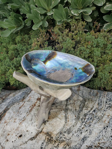 Abalone Shell - Sage Smudge Stick Bowl