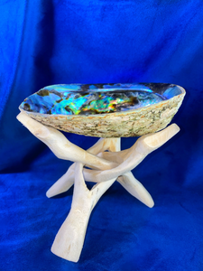 Abalone Shell - Sage Smudge Stick Bowl